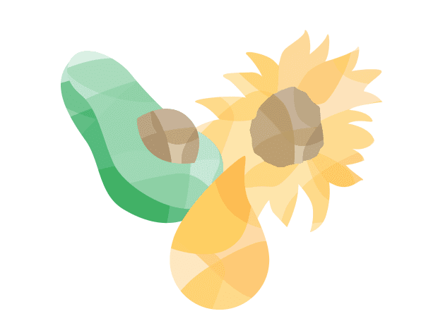 Avocado, sunflower and oil drop illustration