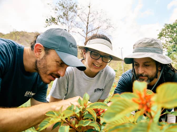 three people excitedly looking at plants in Costa Rica