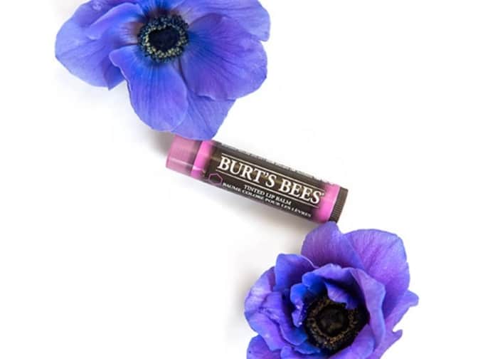 Image of Burt's Bees Tinted lip balm next to two purple flowers