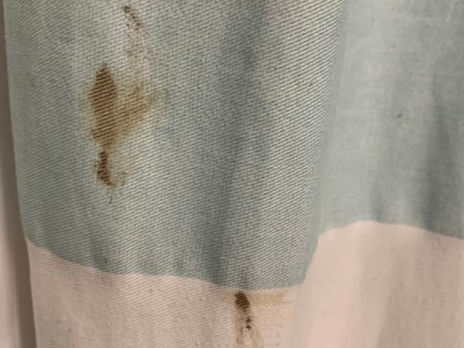 Image of blue and white tablecloth with chocolate stains