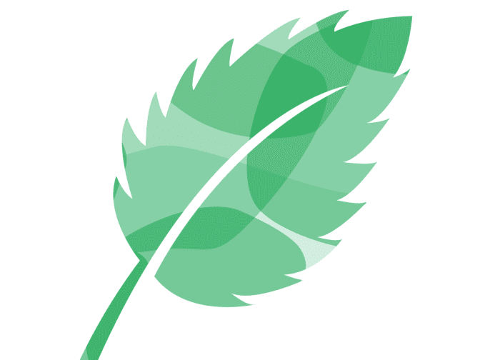 Green illustration of a leaf