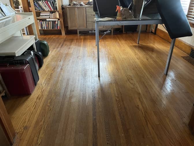 Hardwood floors that are still wet after being sprtized with hardwood cleaner.