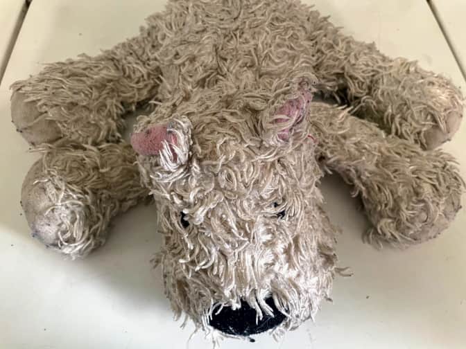 Photo of dirty dog stuffed animal
