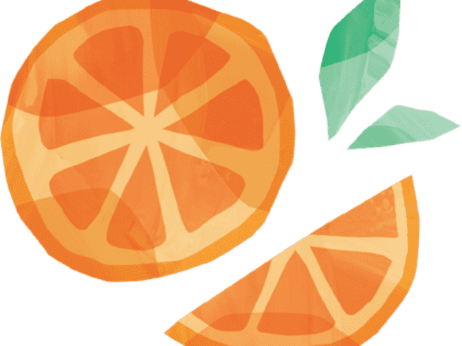 Illustration of oranges