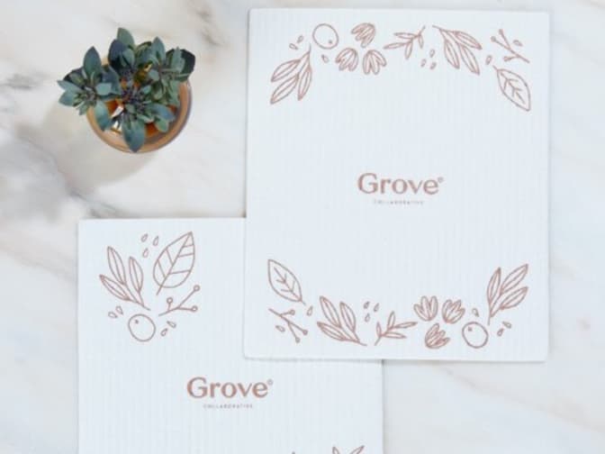 Image of Grove branded cardboard insert with leaf illustrations next to potted plant