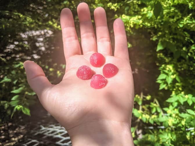 Photo of four Calm Gummies in a person's hand against a background of foliage