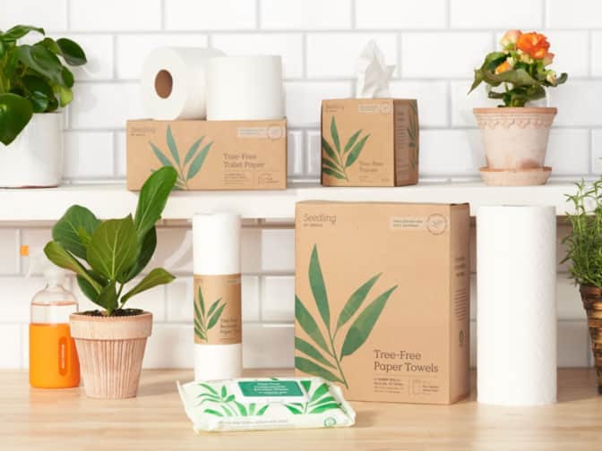 Grove Co. Tree-Free products like paper towels, tissues and compostable wipes