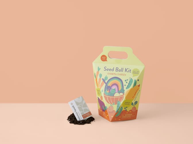 Image of the Rainbow Garden Seed Ball Kit. 