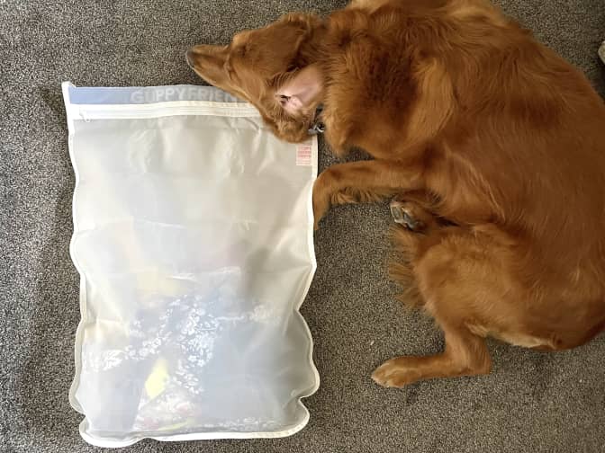 a cute golden retriever dog laying on a Guppyfriend mesh laundry bag filled with clothes