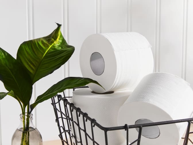 Image of seedling toilet paper.