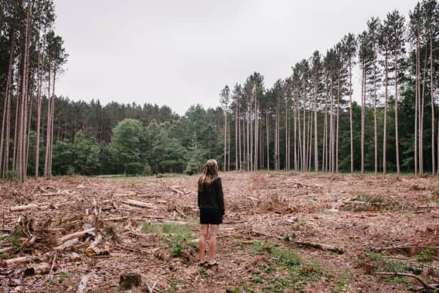 woman standing in a clearcutting by a forest
