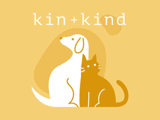 kin + kind brand logo in yellow with illustration of dog and cat under brand name