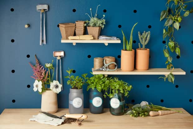 Planting shelf with houseplants and herbs