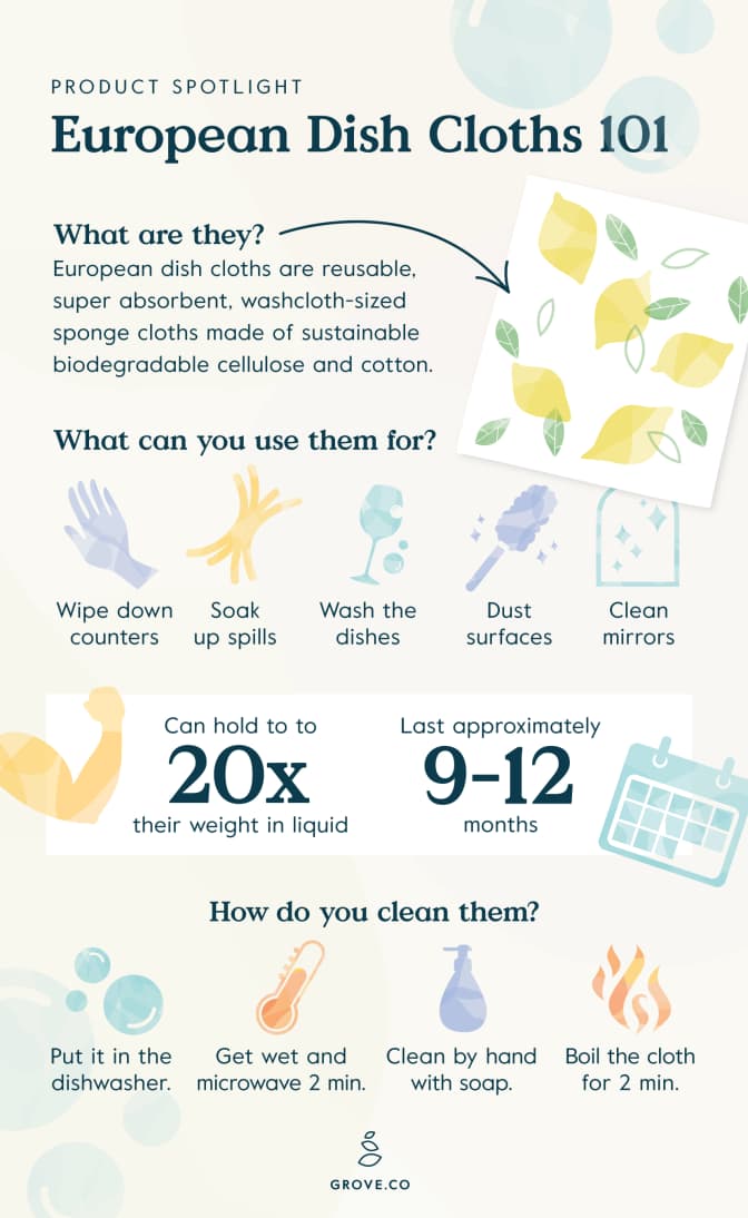 European Dish Cloth Infographic
