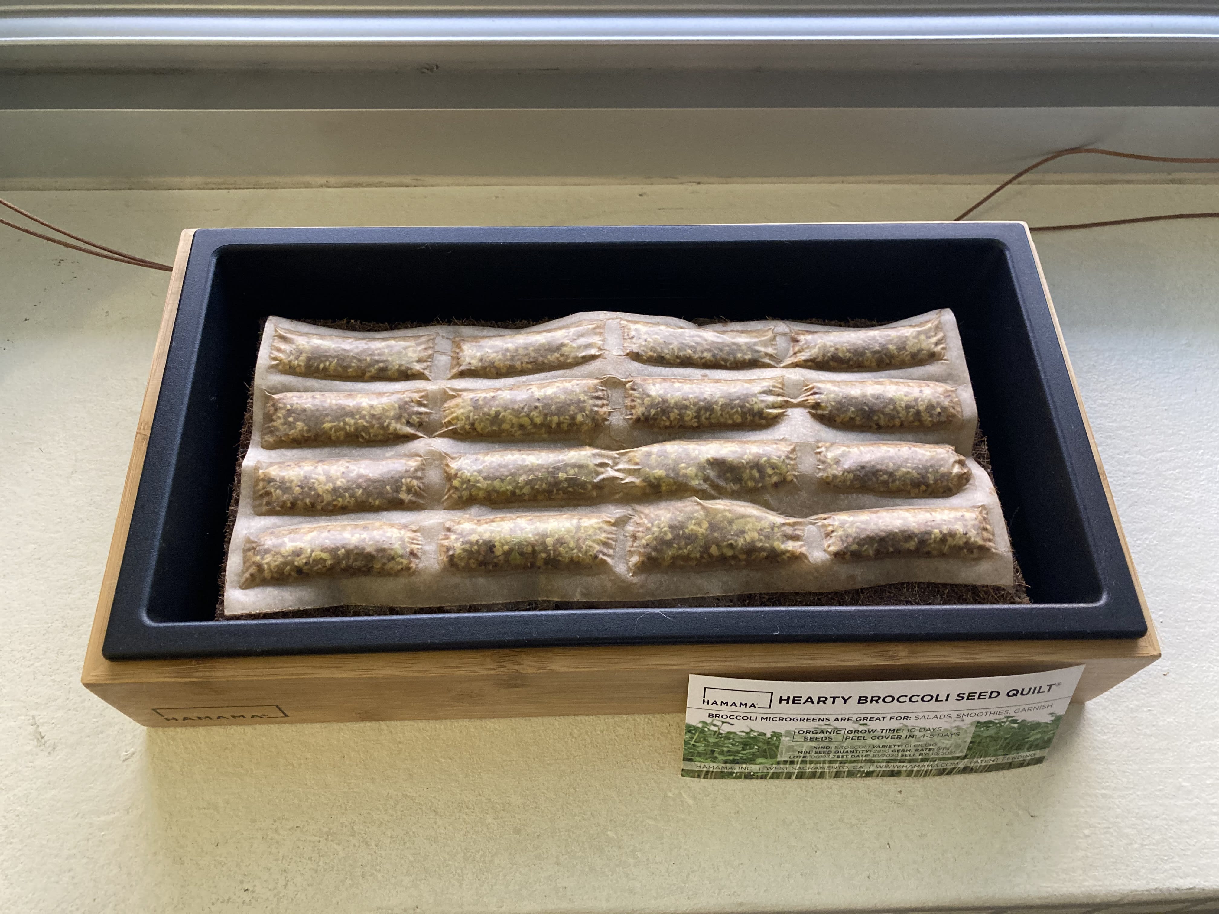 Photo of Hamama Microgreens Grow Kit seed quilt