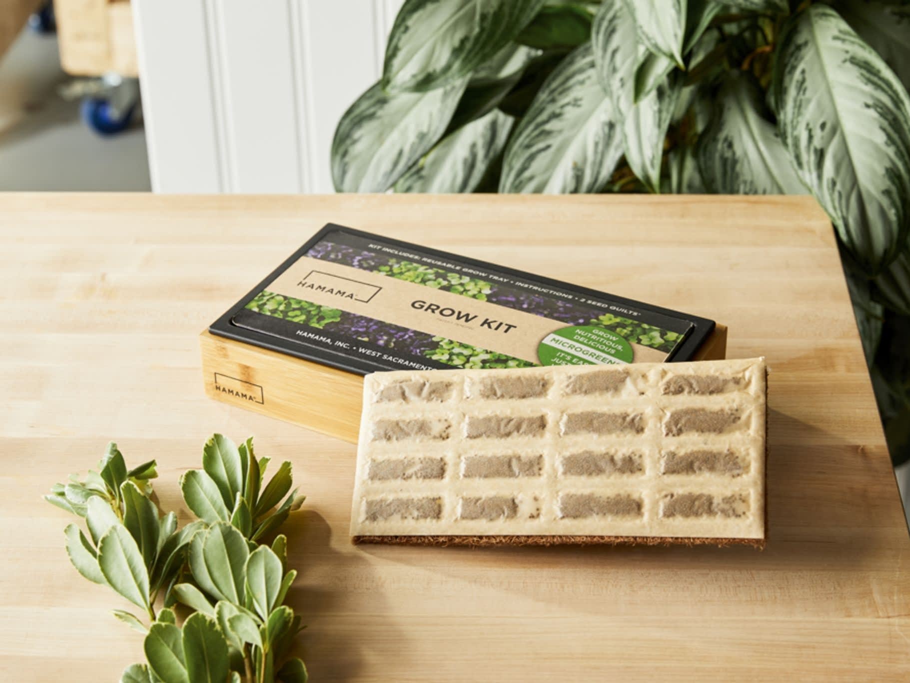 Photo of Hamama Microgreens Grow Kit with Bamboo Frame 
