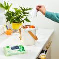 Grove Co. Tree-Free Compostable Kitchen Wipes - 100% Bamboo