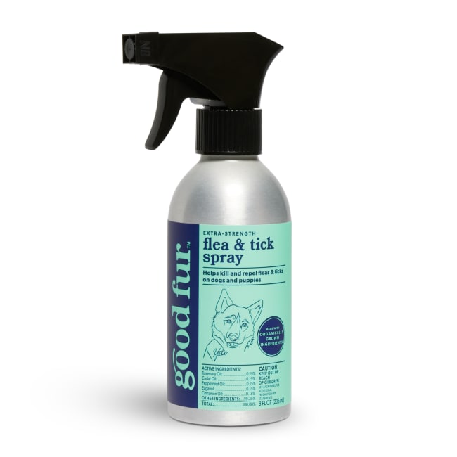 The 5 Best Flea Sprays (2023 Review) - This Old House