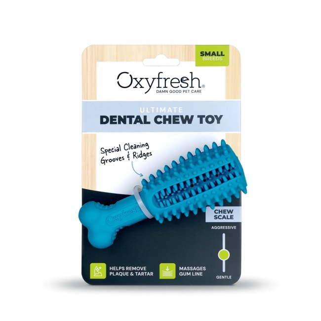 Dental chew toys best sale