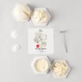 Farmsteady Italian Fresh Cheese Making Kit with Instructions on Food52