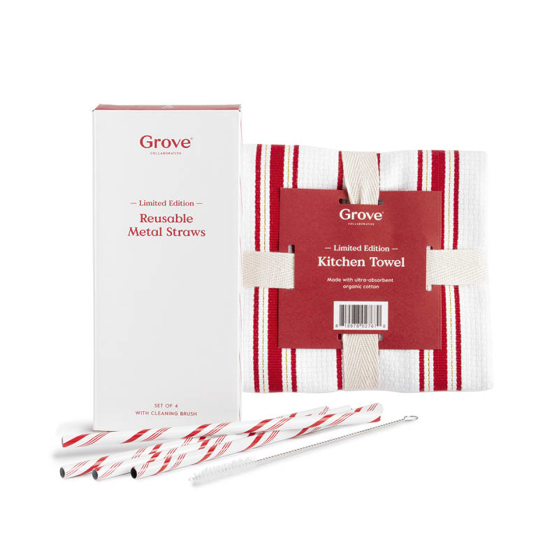 Stainless Steel Straws with Brush - Candy Cane - Set of 2