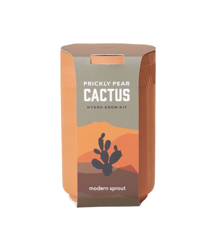 Modern Sprout Terracotta Kit - Cactus Blend